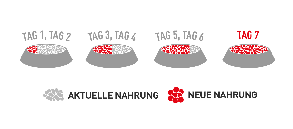 Umstellung_1200x527 Royal Canin Brandshop Umstellung