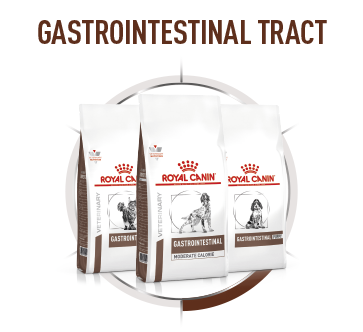 Wheels_Cat_plus_Dog-1 Royal Canin Brandshop 2023