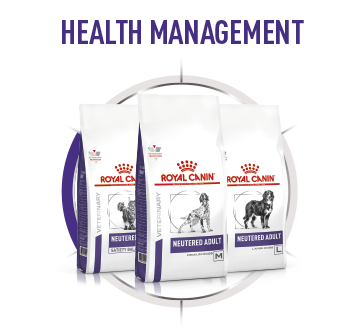 Wheels_Cat_plus_Dog-6 Royal Canin Brandshop 2023