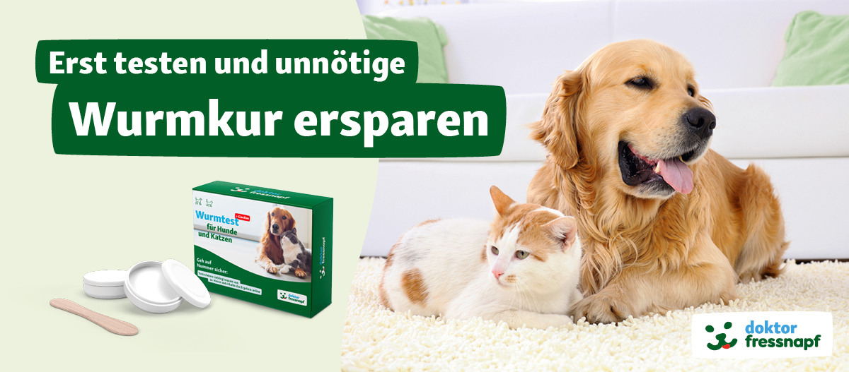 20230308_Teaser VetTests Wurmtest für Hund und Katzen von Dr. Fressnapf