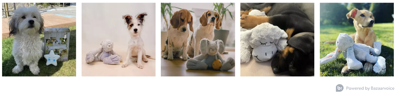 Bildschirmfoto 2023-05-23 um 15.46.51