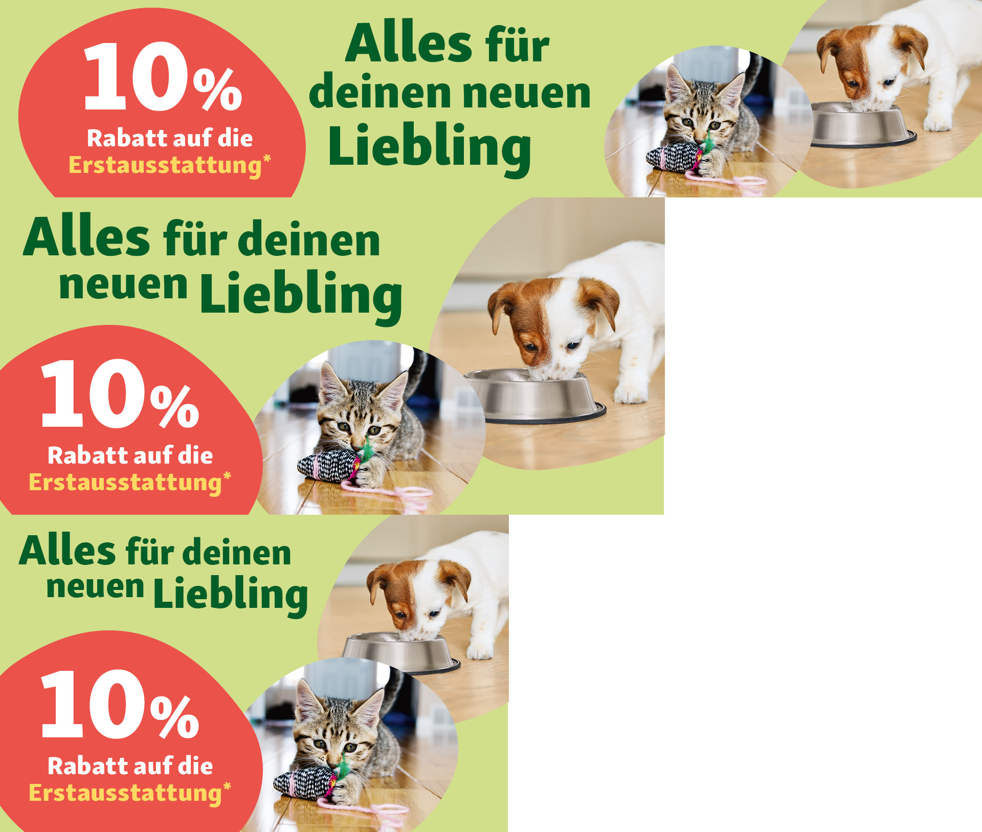 Gutschein für Erstausstattung für Welpen und Kätzchen Erstausstattung Gutschein Welpe und Kätzchen