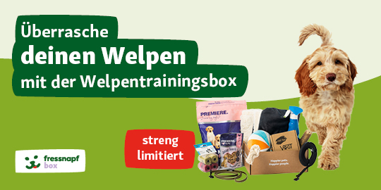 WKZ-Re-Design_2021_welpe_neu_6er3 Welpen Trainingsbox NewPet