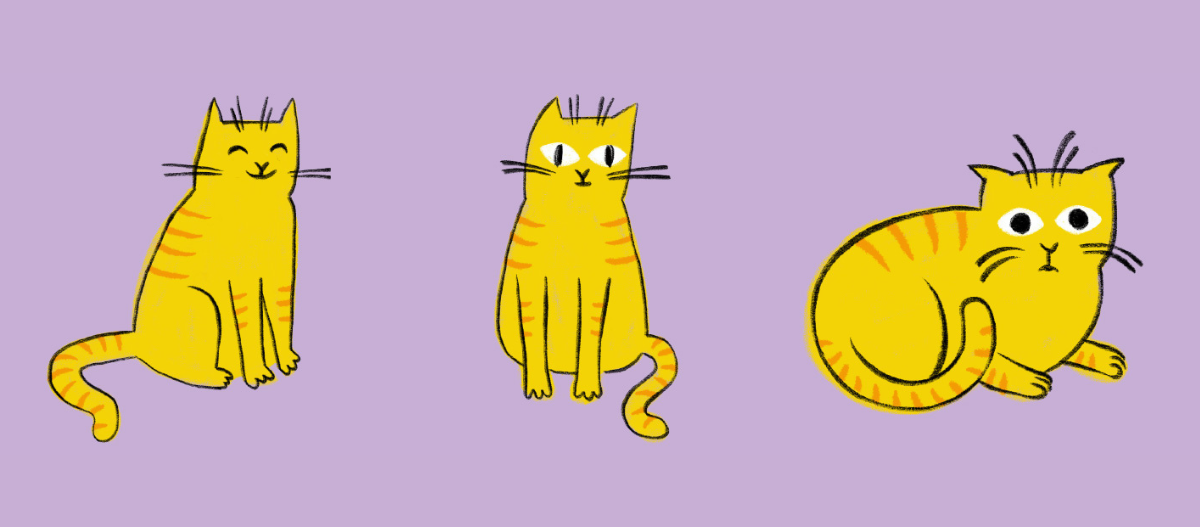 wissensquiz-zur-katzensprache Wissensquiz zur Katzenkörpersprache