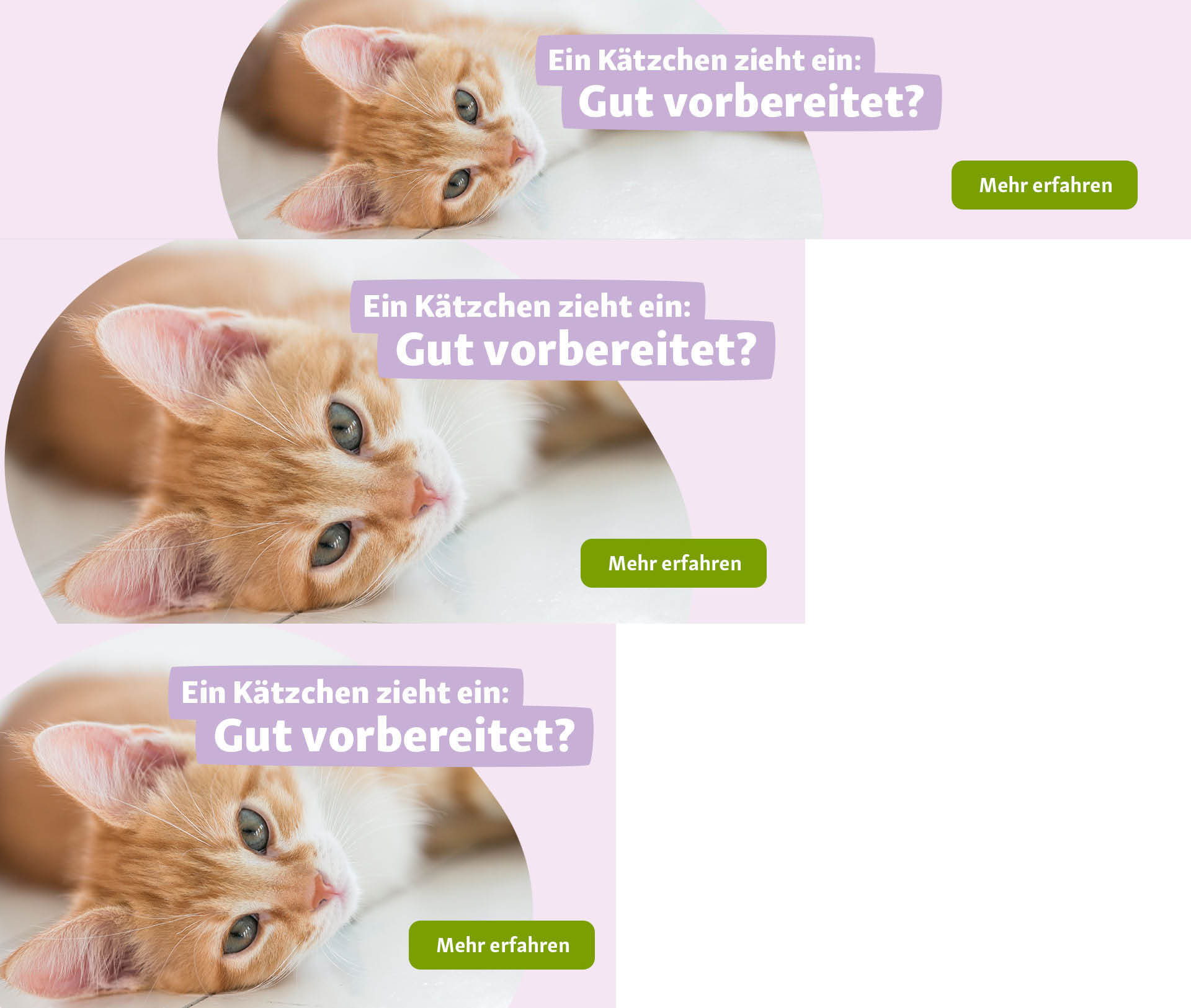 Header-Katze-mit-CTA.jpg