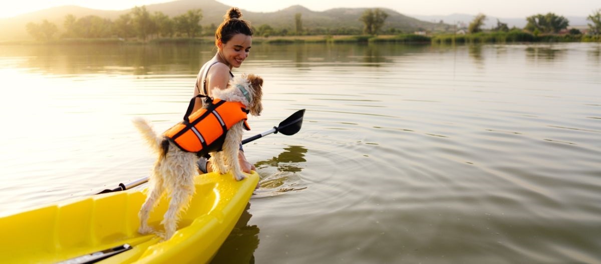 Hund steht auf einem gelben Boot und wird vom Frauchen ins Wasser geführt Hund steht auf einem gelben Boot und wird vom Frauchen ins Wasser geführt