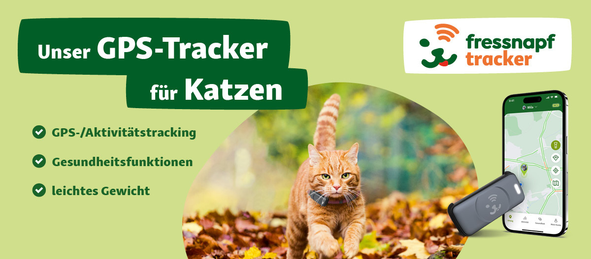 GPS-Tracker für Katzen GPS-Tracker für Katzen