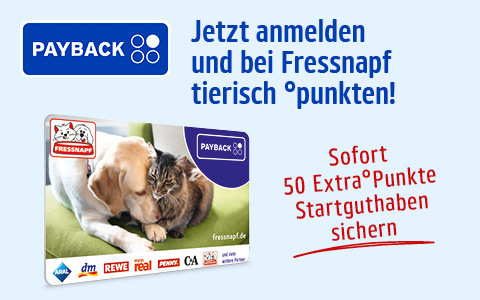 Allg_PB_DE_Rebranding_OLS_Teaser.480x3001 Payback