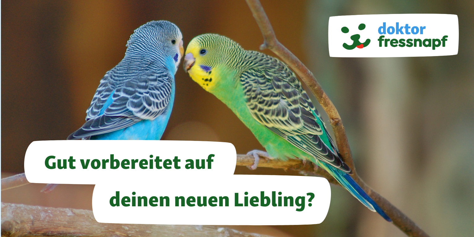 Dr. Fressnapf berät zu dem Einzug deines neuen Haustiers