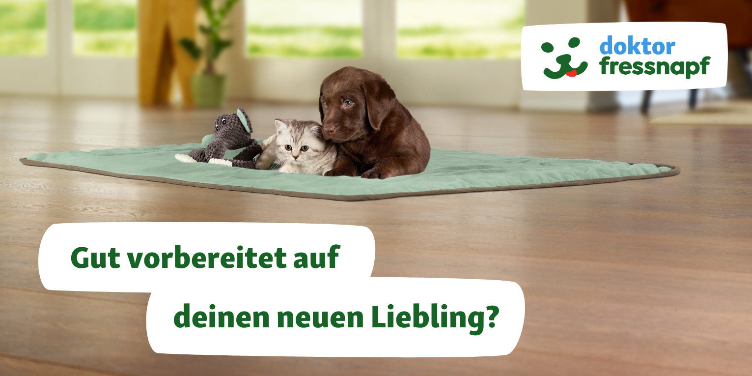 Ein Tier zieht ein (allgemein) - 1531x765 Dr. Fressnapf berät zu dem Einzug deines neuen Haustiers