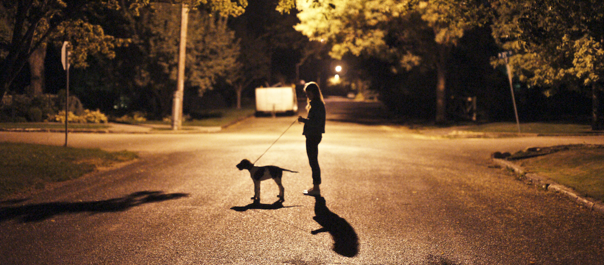 Junge Frau steht mit Hund im Laternenschein auf der Straße Junge Frau steht mit Hund im Laternenschein auf der Straße