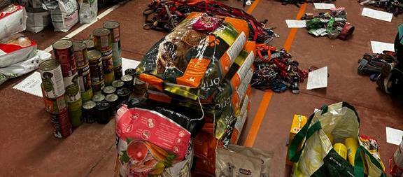 Sachspenden werden auf dem Boden einer Sporthalle sortiert Sachspenden werden auf dem Boden einer Sporthalle sortiert