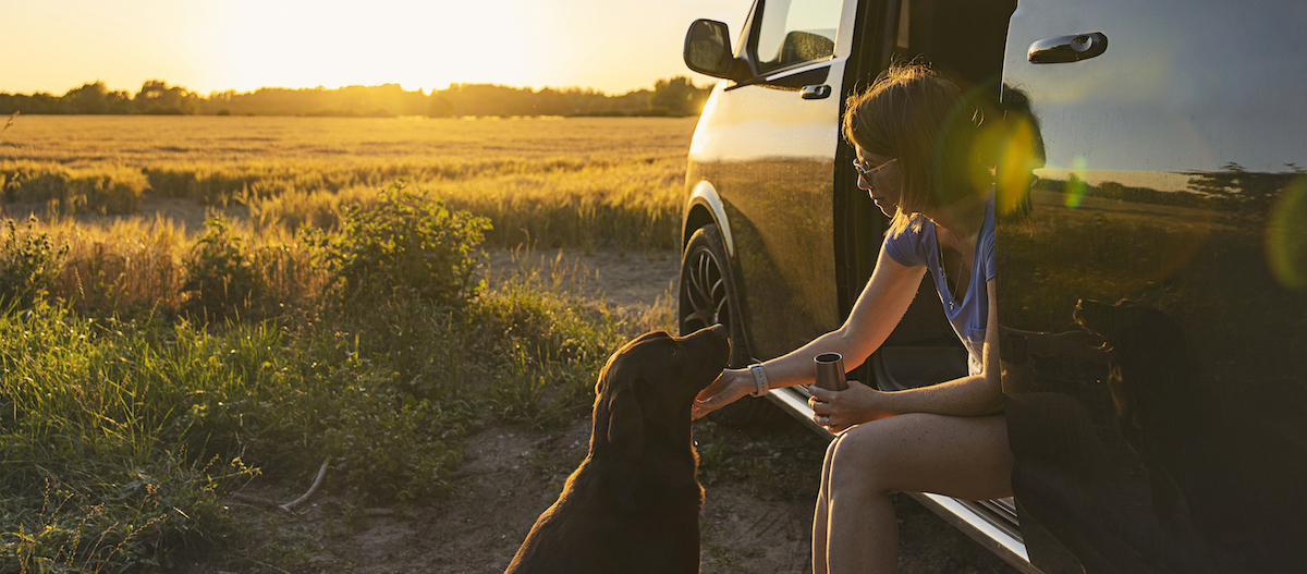 Hund und Halterin machen Pause mit Campingbus am Feldrand