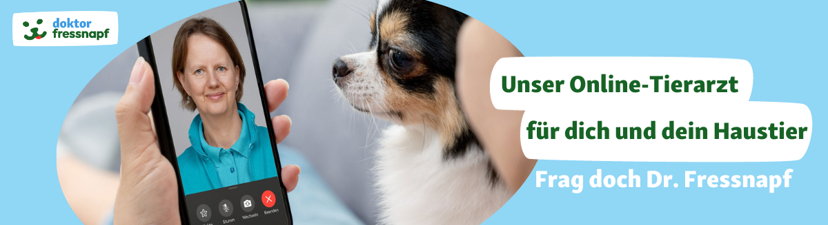 Dr. Fressnapf Gesundheitsberatung Dr. Fressnapf Gesundheitsberatung
