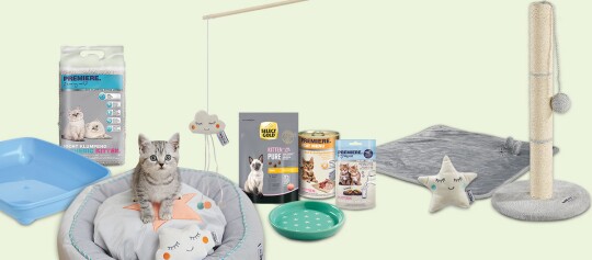 Erstausstattung für Kitten