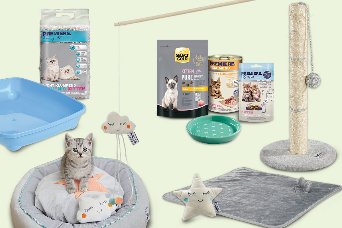 Erstausstattung für Kitten