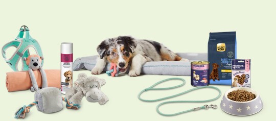 Erstausstattung für Welpen