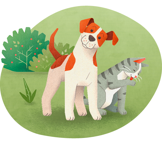 Hund und Katze auf einer Wiese