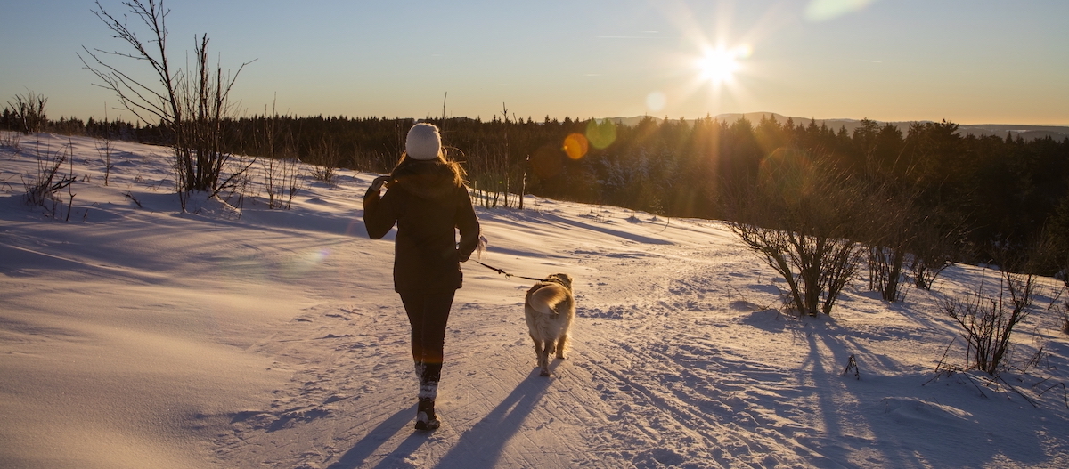 Frau spaziert mit Hund durch den Schnee Frau spaziert mit Hund durch den Schnee