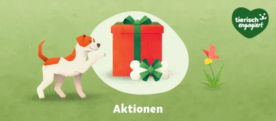 TierischEngagiert Aktionen