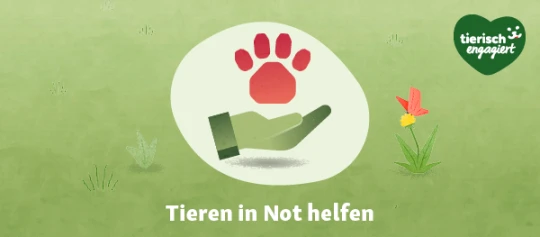 TierischEngagiert Helfen