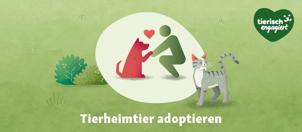 TierischEngagiert_TierheimTier_adoptieren_600x263px TierischEngagiert Adoptieren