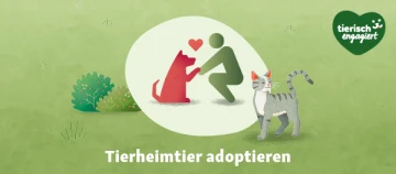 TierischEngagiert Adoptieren