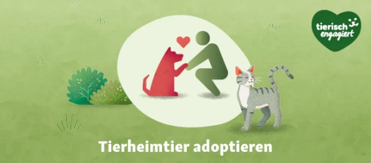 TierischEngagiert Adoptieren