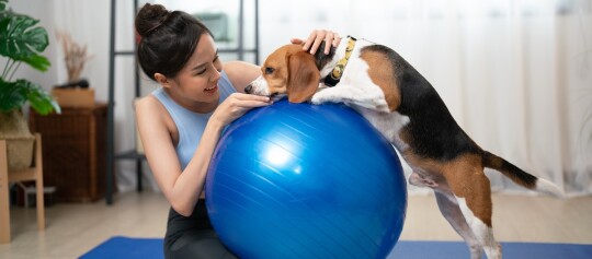 Hund mit Gymnastikball