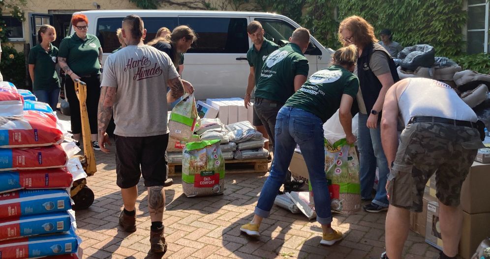 Katzenfreunde Bissendorf e.V