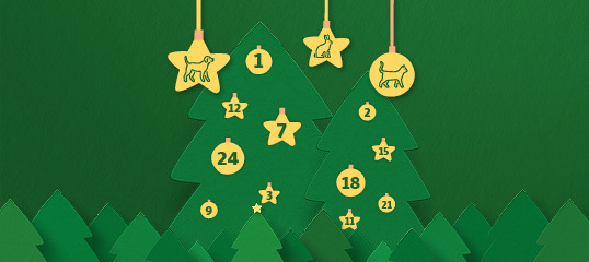 Hier geht es zu unserem Online Adventskalender