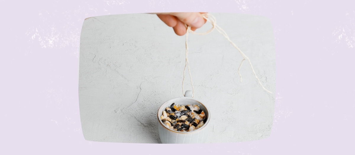 diy-meisenknoedel-variante diy-meisenknoedel-variante