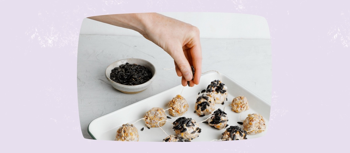 diy-meisenknoedel-schritt-4 diy-meisenknoedel-schritt-4