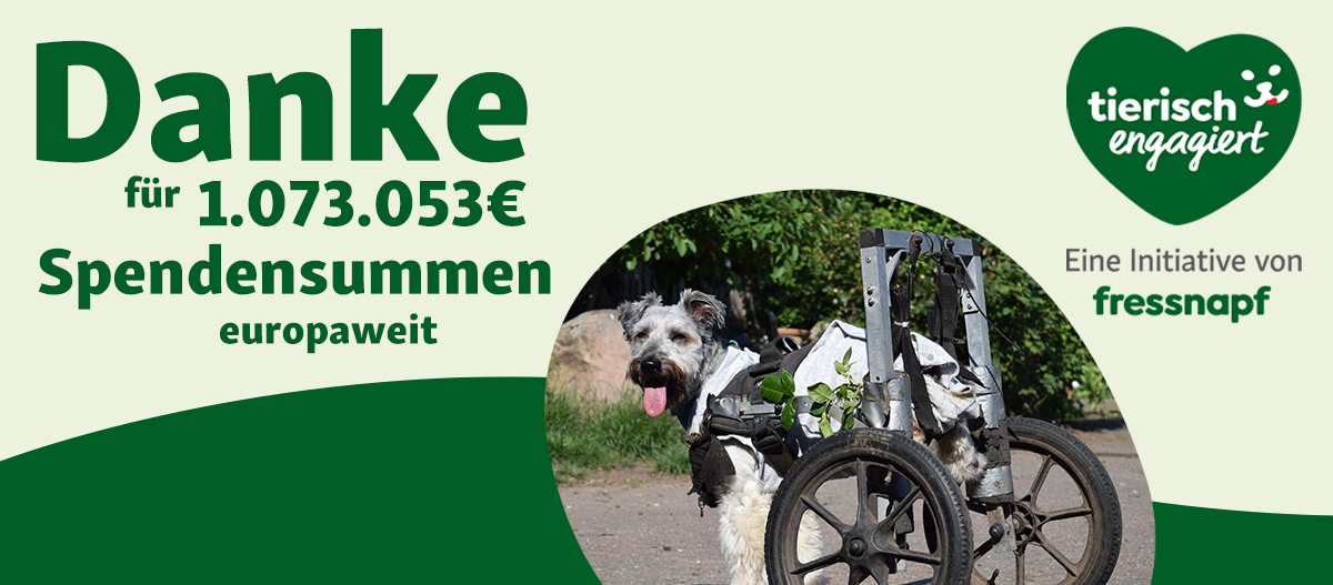 Danke Spendensumme Tierisch engagiert sagt Danke