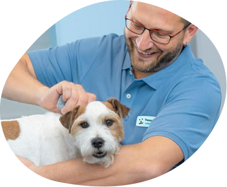 Salon Hundefriseur