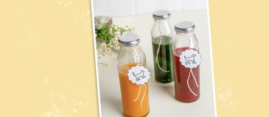 Smoothies für Hunde und Katzen Smoothies für Hunde und Katzen