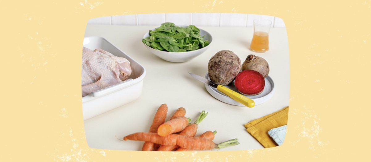 Zutaten für Smoothies für Hunde und Katzen Zutaten für Smoothies für Hunde und Katzen