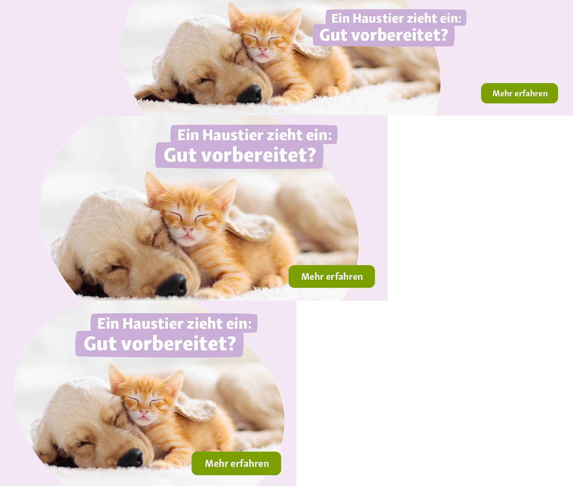 Header_NewPet Neues Haustier zieht ein