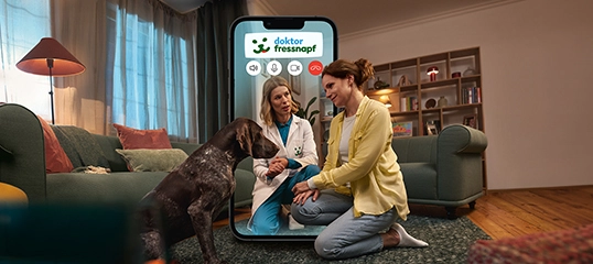 caretaker doktop fressnapf