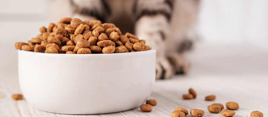 Trockenfutter für Katzen Trockenfutter für Katzen