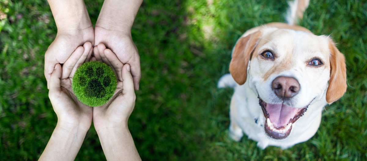 Reduce Reuse Recycle