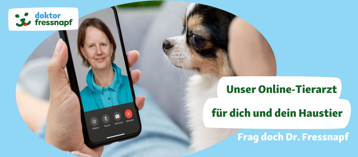 Online-Tierarzt Dr. Fressnapf Online-Tierarzt Dr. Fressnapf