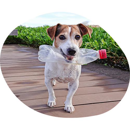 Reduce Reuse Recycle