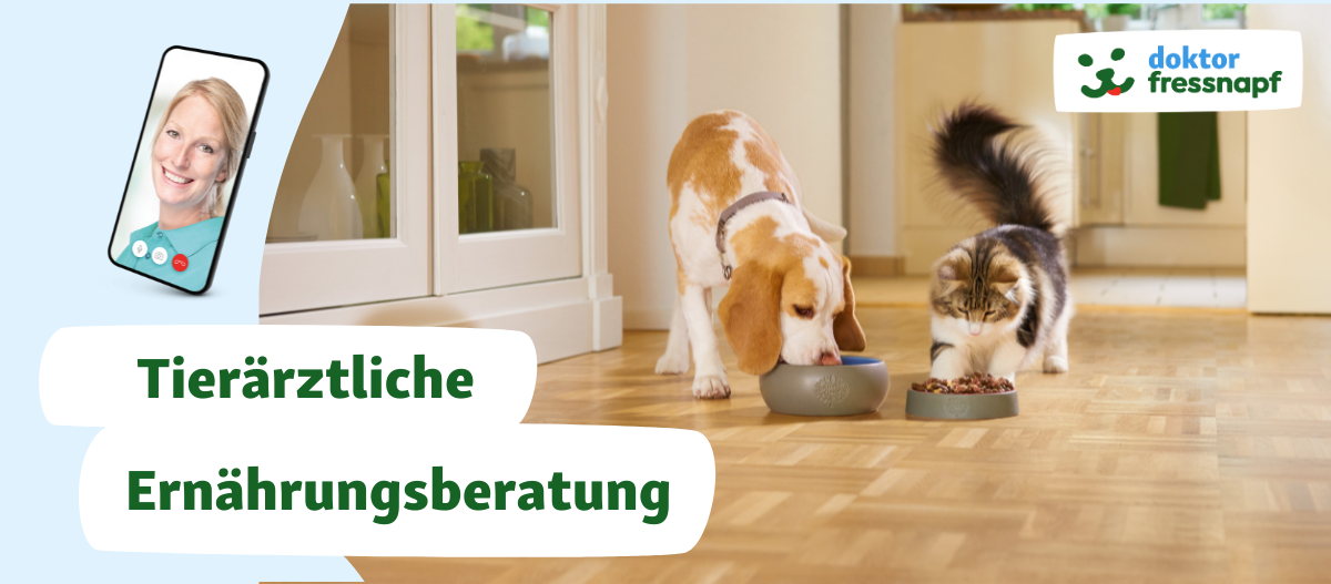Tierärztliche Ernährungsberatung Tierärztliche Ernährungsberatung