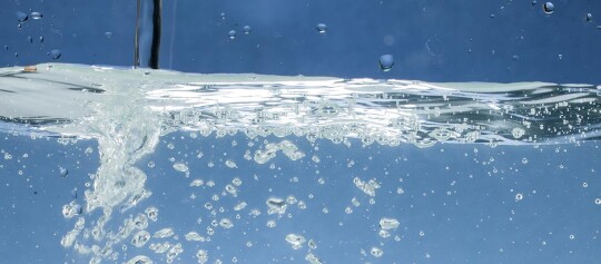 Frisches Wasser im Aquarium