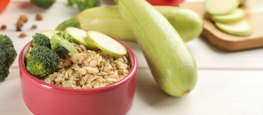 Futternapf gefüllt mit Zucchini und Brokkoli