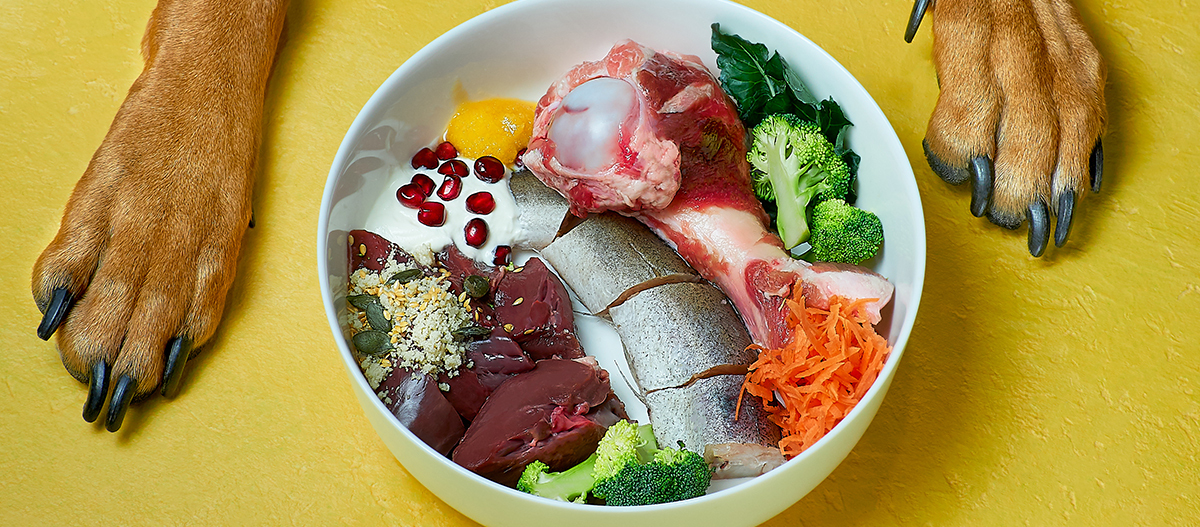 Gesundes BARF Futter im Napf Gesundes BARF Futter im Napf