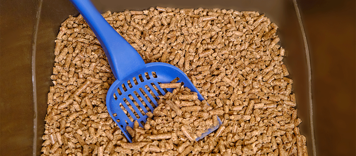 katzenklo-mit-schaufel Katzenklo mit Schaufel