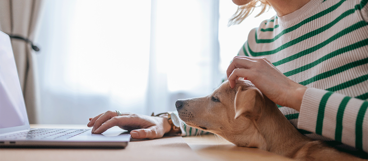 frau-mit-hund-auf-dem-schoss-homeoffice Frau mit Hund auf dem Schoss Homeoffice