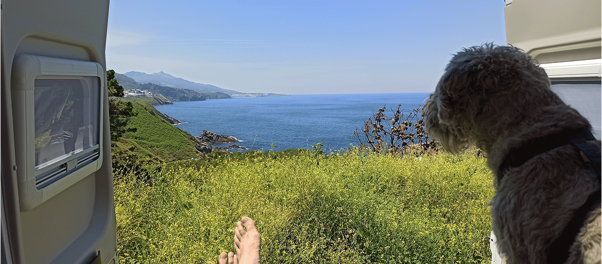 hund-im-auto-mit-meerblick Hund sitzt im Kofferraum und schaut auf´s Meer